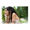 Image for categoryPura