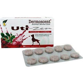 PictureDermoscent Uti-Zen tablete za pse in mačke, 30 tablet