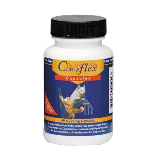 Canine & Feline CortaFlex HA kapsule, 60 kapsul