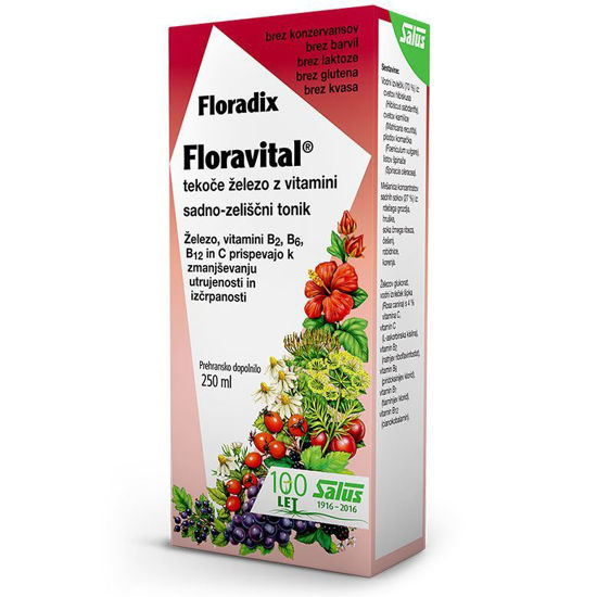 Floradix FLORAVITAL, 250 mL