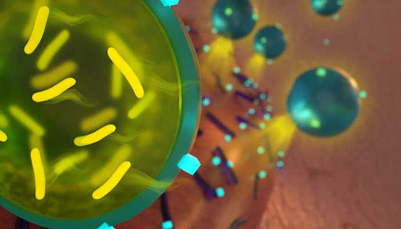 Picture ofZakaj ob antibiotiku jemati tudi probiotik?