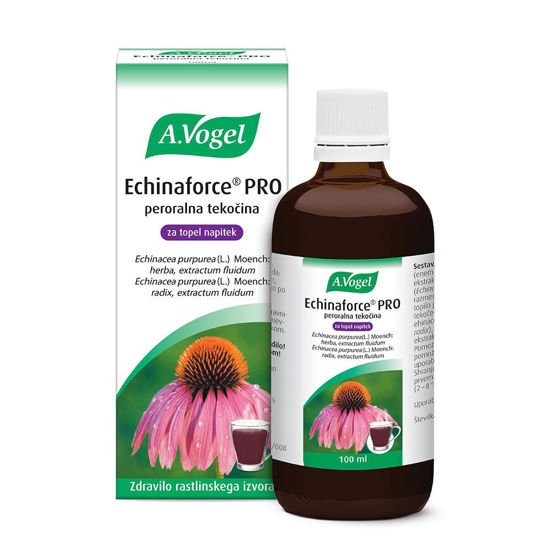 Echinaforce Pro topli napitek, 100 mL