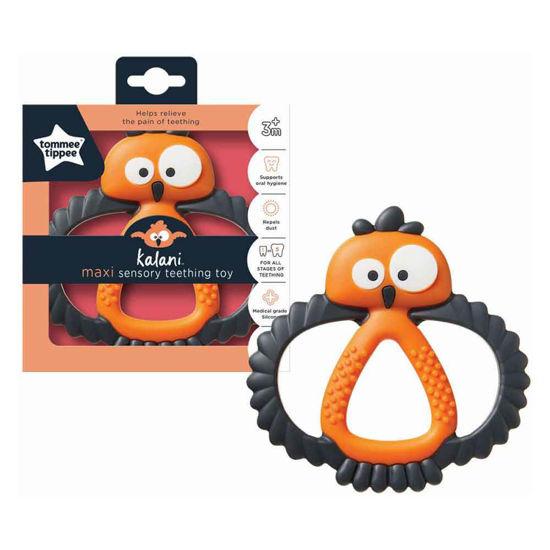 Tommee Tippee grizalo sovica maxi ali mini, 1 grizalo