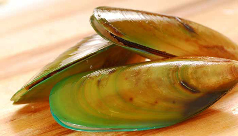 Picture ofLyprinol kapsule - cena in akcija