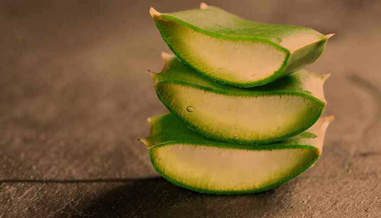 Picture ofAloe vera uporaba