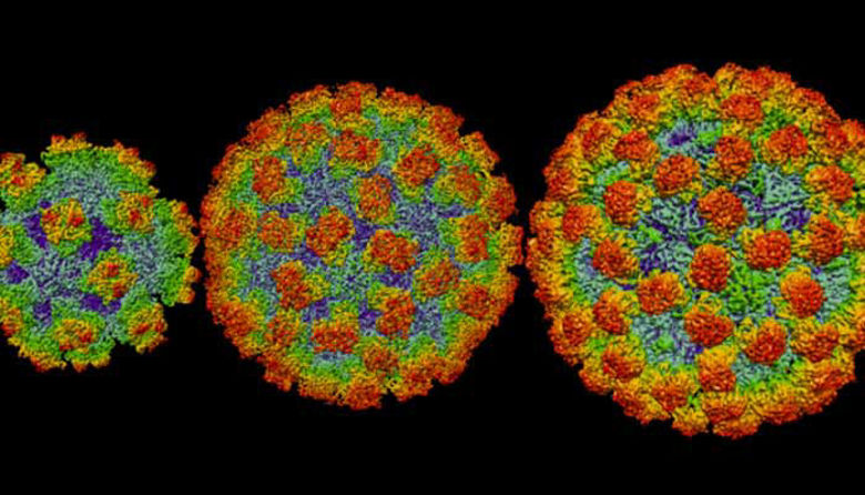 Picture ofTrebušna viroza - simptomi, zdravljenje in preventiva