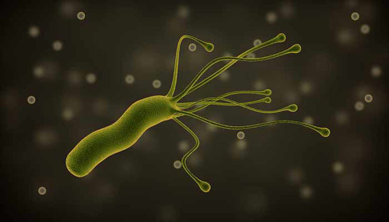 Picture ofHELICOBACTER PYLORI: bakterijska okužba - vzroki in zdravljenje