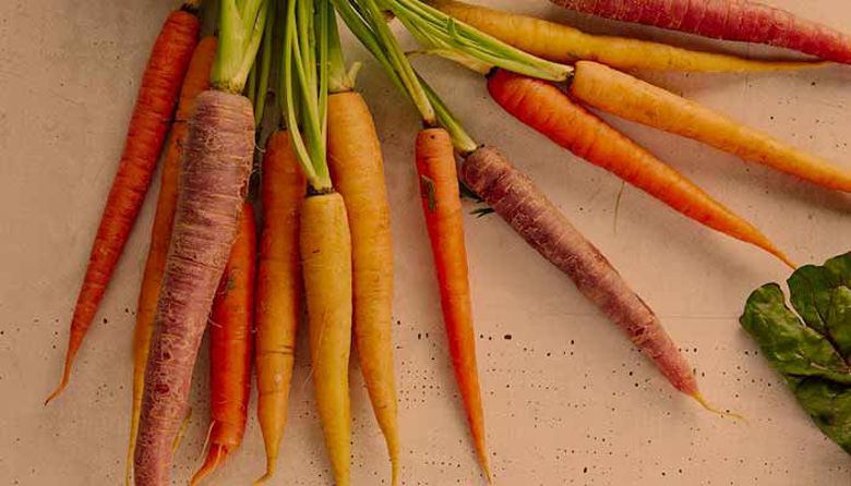 Picture ofVitamin A - funkcije, dnevni vnos, glavni viri in pomanjkanje