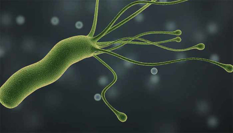 Picture ofHelicobacter Pylori zdravljenje
